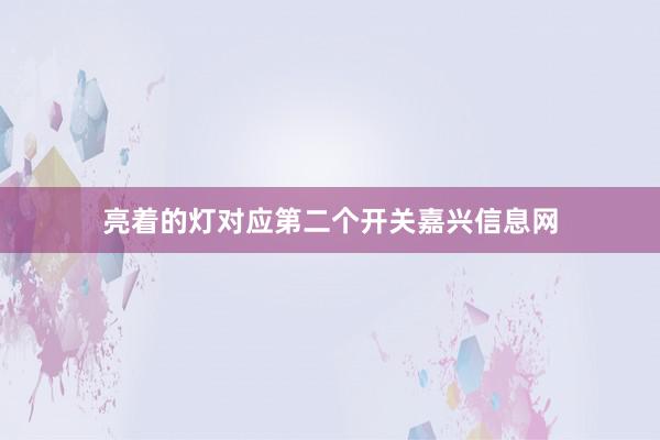 亮着的灯对应第二个开关嘉兴信息网